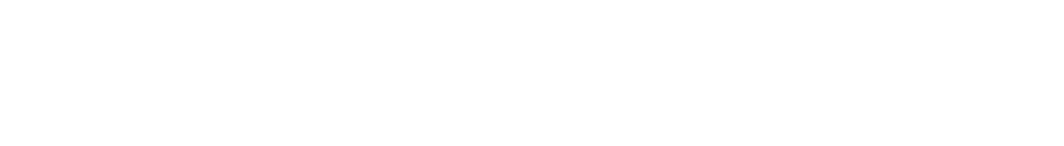 Logo PT Infinite Inovasi Nusantara